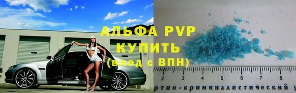 стаф Коряжма
