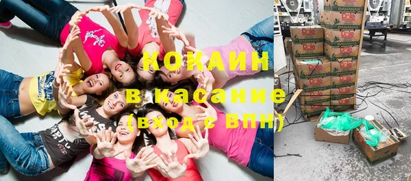 ГАЛЛЮЦИНОГЕННЫЕ ГРИБЫ Корсаков