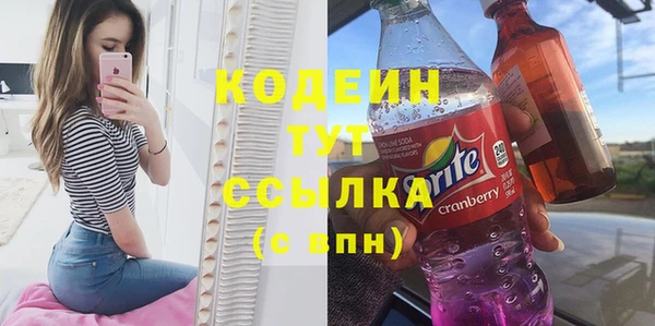 ГАЛЛЮЦИНОГЕННЫЕ ГРИБЫ Корсаков